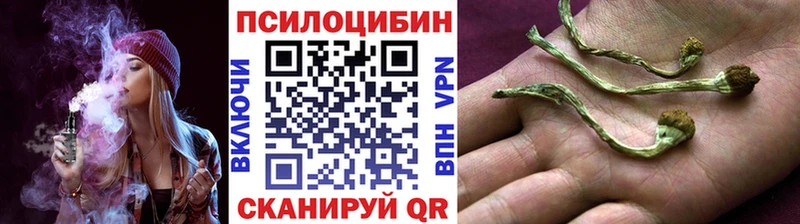 MEGA рабочий сайт  Старый Оскол  Галлюциногенные грибы Psilocybine cubensis 